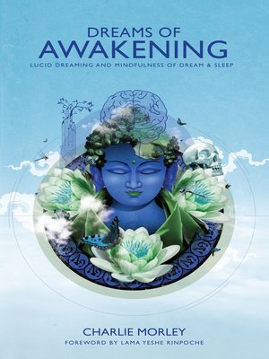 cover image of Dreams of Awakening